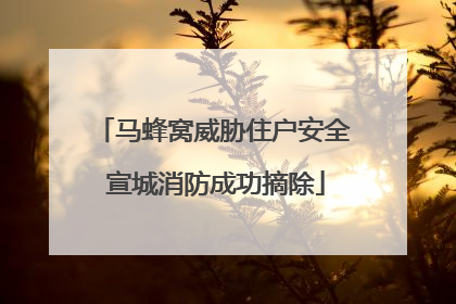 马蜂窝威胁住户安全 宣城消防成功摘除