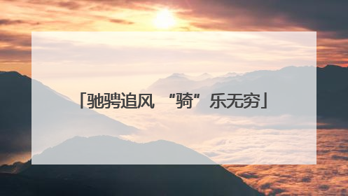 驰骋追风 “骑”乐无穷