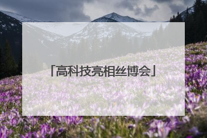 高科技亮相丝博会