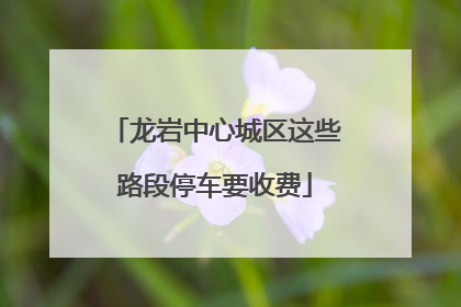 龙岩中心城区这些路段停车要收费