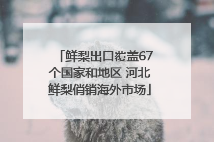 鲜梨出口覆盖67个国家和地区 河北鲜梨俏销海外市场