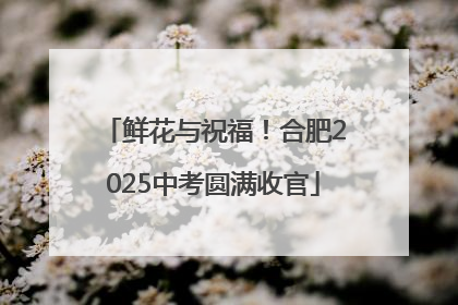 鲜花与祝福！合肥2025中考圆满收官