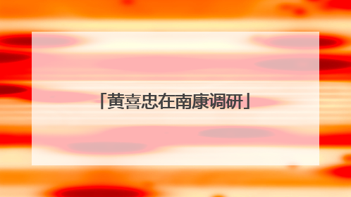 黄喜忠在南康调研