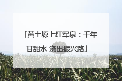 黄土塬上红军泉：千年甘甜水 浇出振兴路