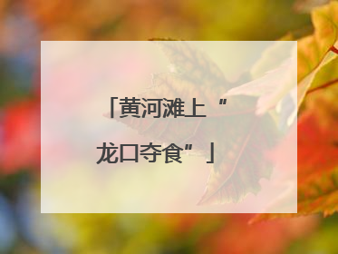 黄河滩上“龙口夺食”