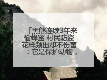 黑熊连续3年来偷蜂蜜 村民防盗花样频出却不伤害：它是保护动物，我有保险兜底