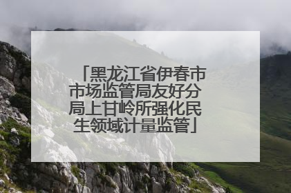 黑龙江省伊春市市场监管局友好分局上甘岭所强化民生领域计量监管