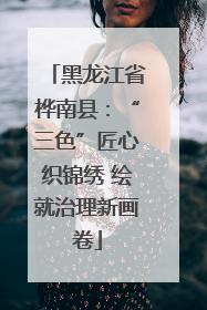黑龙江省桦南县：“三色”匠心织锦绣 绘就治理新画卷
