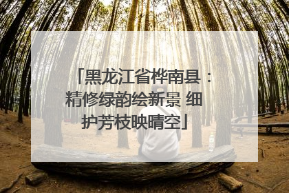 黑龙江省桦南县：精修绿韵绘新景 细护芳枝映晴空