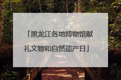 黑龙江各地博物馆献礼文物和自然遗产日