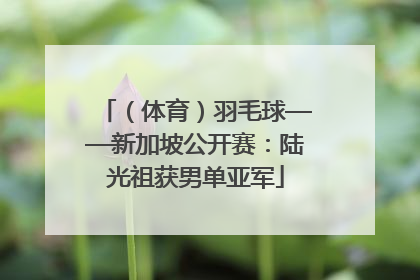 （体育）羽毛球——新加坡公开赛：陆光祖获男单亚军