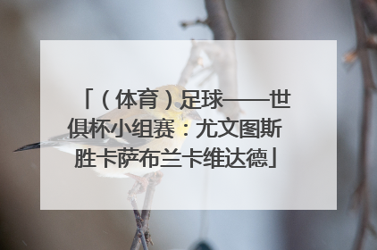 （体育）足球——世俱杯小组赛：尤文图斯胜卡萨布兰卡维达德