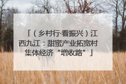 （乡村行·看振兴）江西九江：甜蜜产业拓宽村集体经济“增收路”