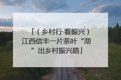（乡村行·看振兴）江西信丰一片茶叶“沏”出乡村振兴路