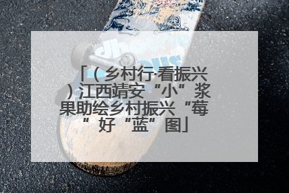 （乡村行·看振兴）江西靖安“小”浆果助绘乡村振兴“莓”好“蓝”图