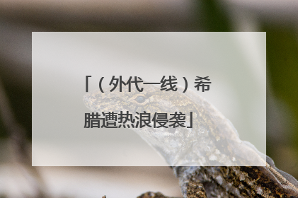 （外代一线）希腊遭热浪侵袭