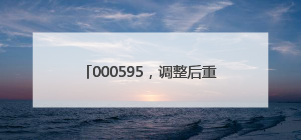 000595，调整后重大资产重组方案公布！