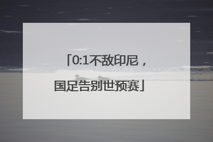 0:1不敌印尼，国足告别世预赛