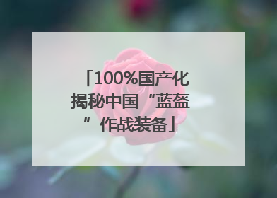 100%国产化 揭秘中国“蓝盔”作战装备