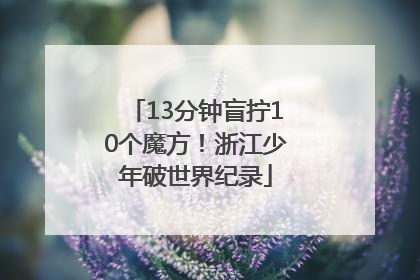 13分钟盲拧10个魔方！浙江少年破世界纪录