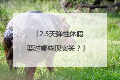 2.5天弹性休假要过哪些现实关？
