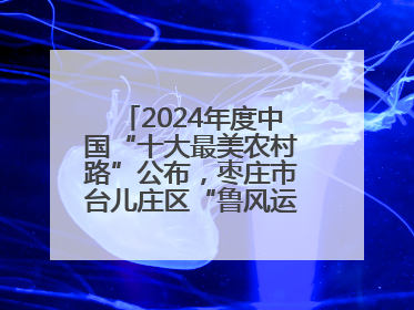 2024年度中国“十大最美农村路”公布，枣庄市台儿庄区“鲁风运河”古城文化廊道上榜！