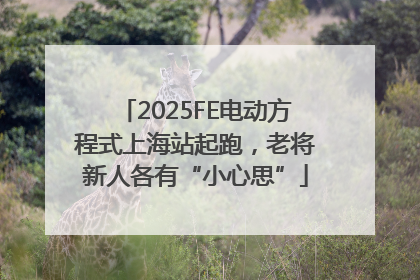 2025FE电动方程式上海站起跑，老将新人各有“小心思”