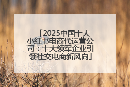 2025中国十大小红书电商代运营公司：十大领军企业引领社交电商新风向