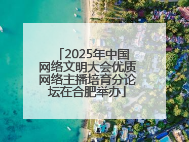 2025年中国网络文明大会优质网络主播培育分论坛在合肥举办