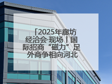 2025年廊坊经洽会·现场丨国际招商“磁力”足 外商争相向河北推介项目