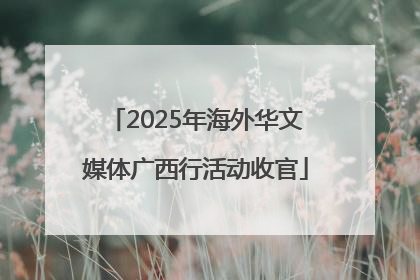 2025年海外华文媒体广西行活动收官