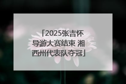 2025张吉怀导游大赛结束 湘西州代表队夺冠