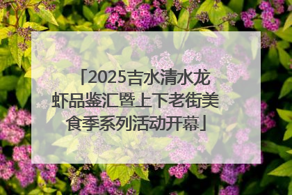 2025吉水清水龙虾品鉴汇暨上下老街美食季系列活动开幕