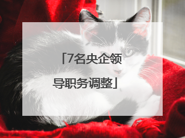 7名央企领导职务调整