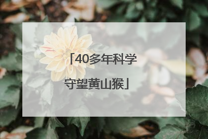 40多年科学守望黄山猴