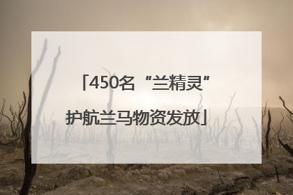 450名“兰精灵”护航兰马物资发放