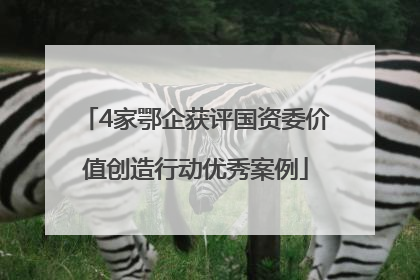 4家鄂企获评国资委价值创造行动优秀案例