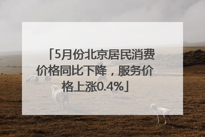 5月份北京居民消费价格同比下降，服务价格上涨0.4%