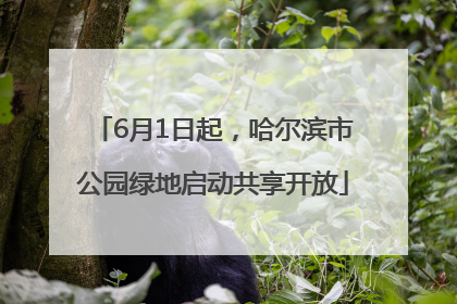 6月1日起，哈尔滨市公园绿地启动共享开放