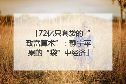 72亿只套袋的“致富算术”：静宁苹果的“袋”中经济