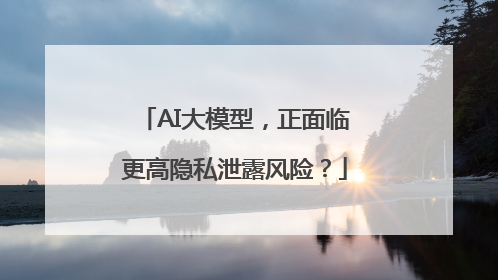 AI大模型，正面临更高隐私泄露风险？