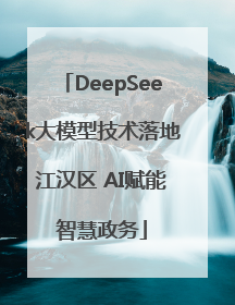 DeepSeek大模型技术落地江汉区 AI赋能智慧政务