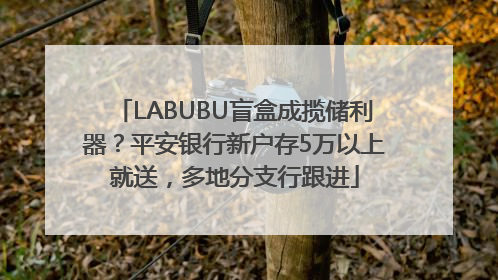 LABUBU盲盒成揽储利器？平安银行新户存5万以上就送，多地分支行跟进