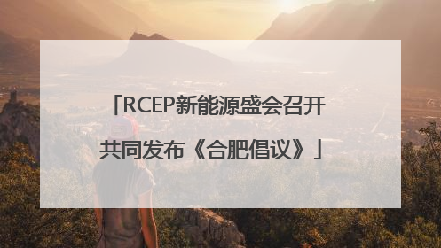 RCEP新能源盛会召开 共同发布《合肥倡议》
